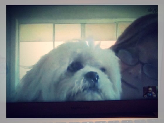 Skyping with Mum & Muggy - my favourite part of the week!